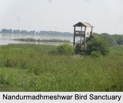 Bird Sanctuaries of Maharashtra