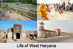 Districts of West Haryana