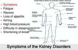 Symptoms of the Kidney Disorders, Naturopathy
