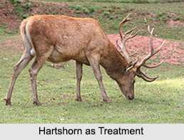 Use of Hartshorn as Treatment