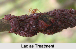 Use of Lac as Treatment