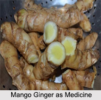 Use of Mango Ginger as Medicines, Classification of Medicine