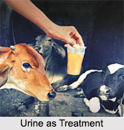 Use of Urine as Treatment