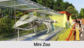 Zoo of Andaman and Nicobar Islands