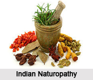 Indian Naturopathy