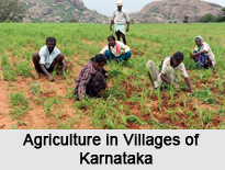 Villages of Karnataka, Villages of India