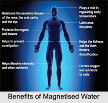 Treatment with Magnetised Water, Magnetic Therapy