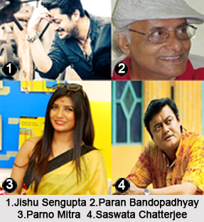 Indian TV Actors, Indian Television