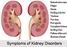 Kidney Disorders, Naturopathy