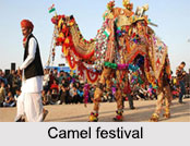 Festivals of Rajasthan, Indian Regional Festivals