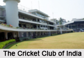 Indian Cricket Associations