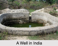 Irrigation in India, Agriculture in India