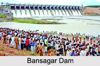 Dams in Madhya Pradesh