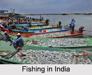 Fishery in India