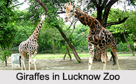 Zoos in India