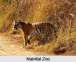 Zoos of Northern India