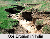 Soil Erosion in India, Indian Soil