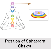 Sahasrara Chakra, Kundalini Chakra