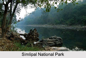 National Parks of East India