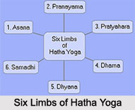 Concepts in Hatha Yoga