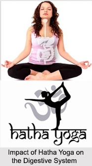 Human Body and Hatha Yoga