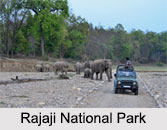 National Parks of North India