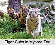 Zoos in India