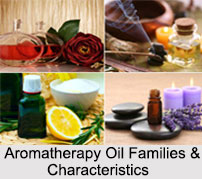 Aromatherapy Oil Families & Characteristics, Aromatherapy