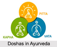 Doshas in Ayurveda, Concepts of Ayurveda