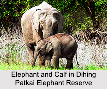 Elephant Reserves in India