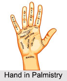 Hand, Palmistry