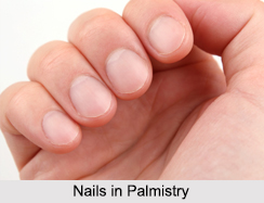 Nails, Palmistry