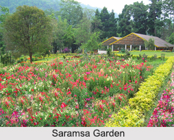 Saramsa Garden, Sikkim
