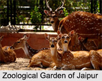 Zoological Garden, Jaipur, Indian National Parks