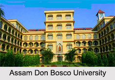Universities of Assam, Indian Universities
