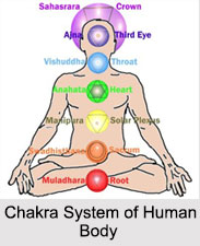 Bodies and Chakras, Yoga