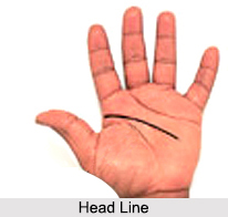 Lines of Hand, Palmistry