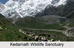 Wildlife Sanctuaries of North India