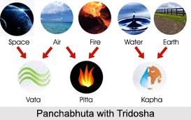 Tridosha System in Ayurveda