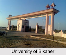 Universities of Rajasthan, Indian Universities