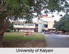 Universities of West Bengal, Indian Universities