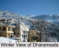 Dharamsala, Kangra, Himachal Pradesh