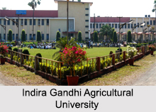 Universities of Chhattisgarh, Indian Universities