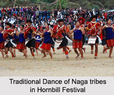 Naga Tribe, Indian Tribals