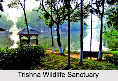 Indian Wildlife Sanctuaries