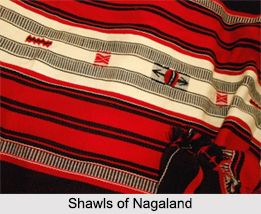 Naga Tribe, Indian Tribals