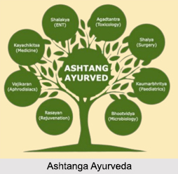 Ashtanga Ayurveda