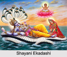 Shayani Ekadashi