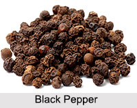 Black Pepper, Types of Spice