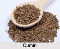 Cumin, Types of Spice